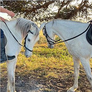 Balade à Cheval