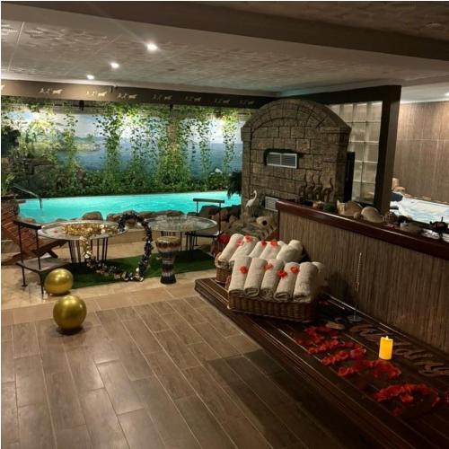 Hammam Aroussa Privatisation de Spa