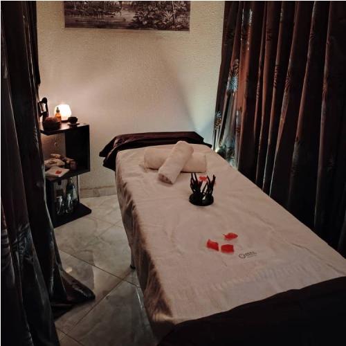 Hammam Aroussa Privatisation de Spa 