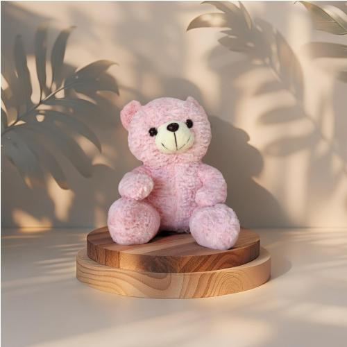 Petit Ours en Peluche